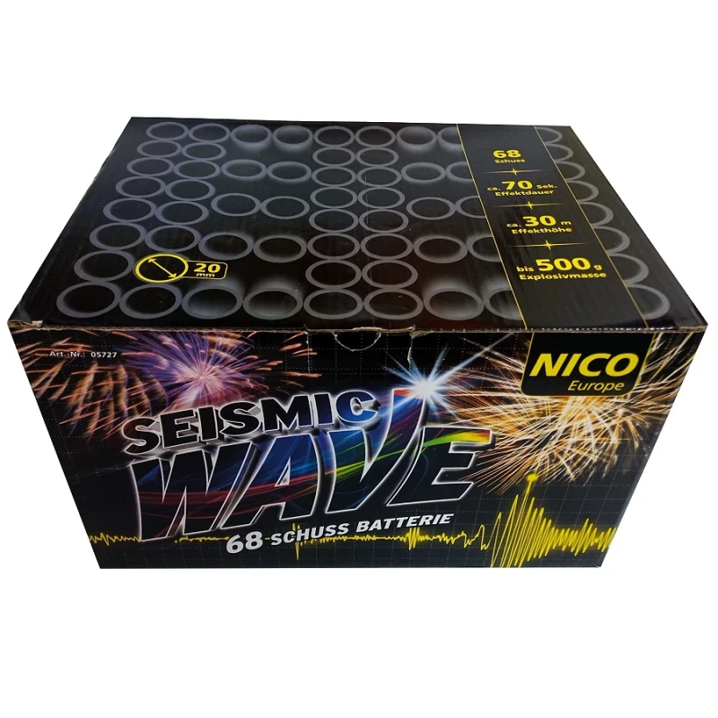 Seismic Wave